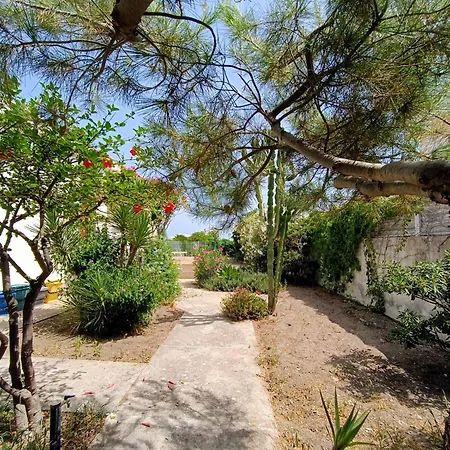 Plaja
